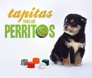 Tapitas Perros